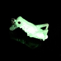 5PCS 3.5cm/3g Insect Locust Fishing Lure Crankbait Bass Grasshopper Bait Tackle