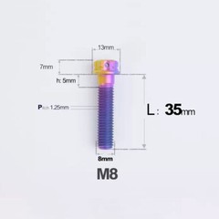 Titanium Screw, Torx Head Screw M8x10 – 120mm Green/Purple/Candy for Motorcycle