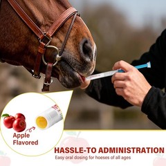 10 Pack New Paste Wormer Horse Dewormer Apple Flavor US Free Shipping