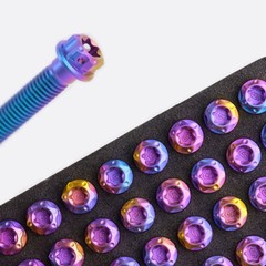 Titanium Screw, Torx Head Screw M8x10 – 120mm Green/Purple/Candy for Motorcycle