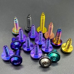 Titanium Bolt M4 M5 M6x15/17/20/25mm Torx Head Self-Tapping Screw Ti Fastener