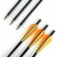 12pcs 20-inch Fiberglass Crossbow Bolts Arrows OD8mm Hunting Archery