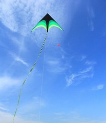 Large Rainbow Delta Kite 160cm with 6m Tail & 50m Flying Line Outdoor Kids Adult