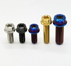 Titanium Bolt M10 Flange Fancy Head Torx Screws 20 25 30 35 40 45 50 55 60-70mm