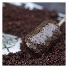Sticky Baits Bloodworm Spod & Bag Mix 2.5kg / Carp Fishing Bait