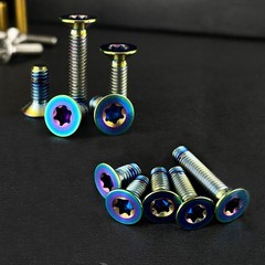 M4x0.7mmTitanium Torx Flat Head Countersunk Bolt Fastener 8 10 12 14 20mm