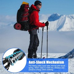 2x Trekking Poles Nordic Walking Hiking Sticks Anti-shock Adjustable Alpenstock