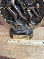 Swim Trophy, Bronze Like, Weighs 2.1 Pounds, Unique Design
