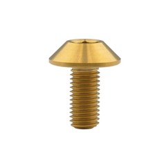 Ti Titanium Screws Umbrella Head Inner Hex Bolts M6x12 15 20mm /M8x25mm