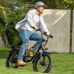 URLIFE 20&Prime; Fat Tire Electric Bike for Adult 1000W 48V13AH Electric Bicycle Ebike
