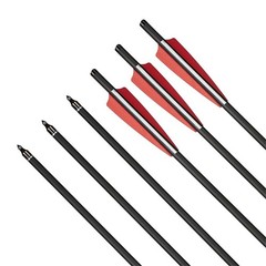 12X Crossbow Bolts 20Inch Carbon Arrows Led Lighted Nocks Crossbow Hunting Shoot