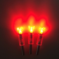 12X Crossbow Bolts 20Inch Carbon Arrows Led Lighted Nocks Crossbow Hunting Shoot