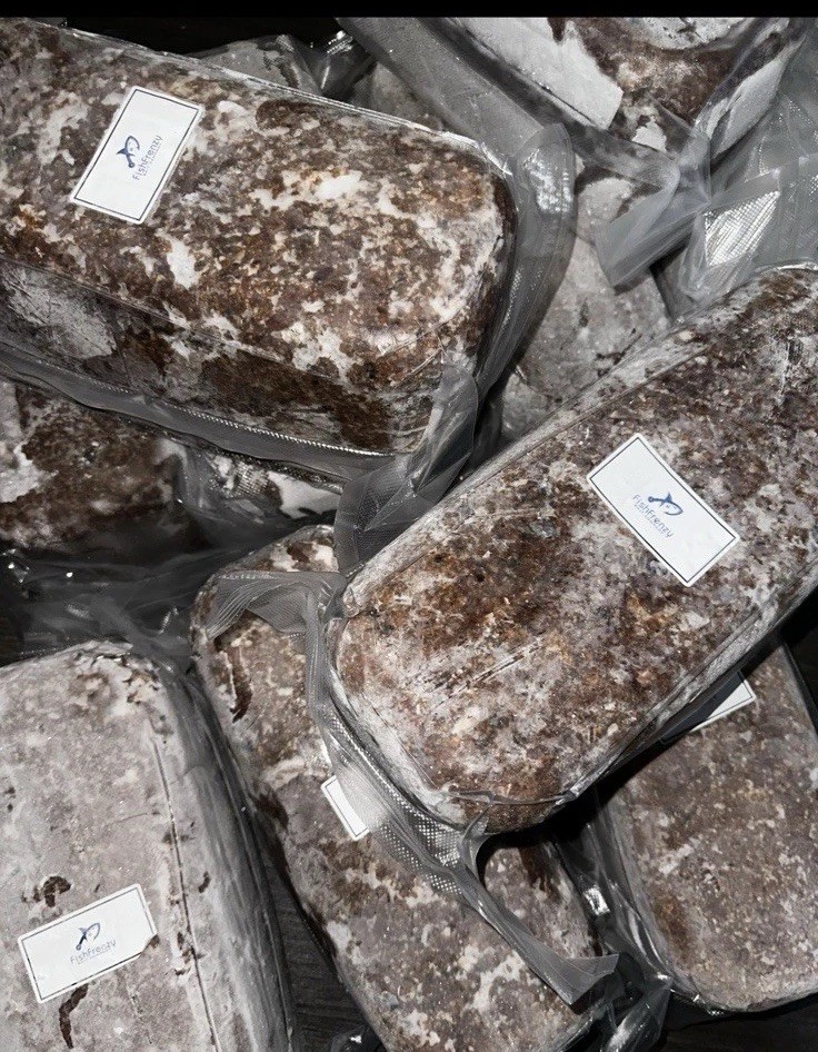 Frozen Shark chum blocks x 3 (roughly 5kg+ per block)