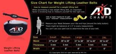 ARD CHAMPS™ Weight Lifting 6&Prime; Leather Belt Back Support Strap Gym Power Training