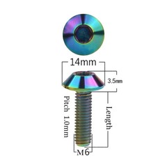 Ti Titanium Screws Umbrella Head Inner Hex Bolts M6x12 15 20mm /M8x25mm