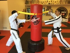 MMA, Boxing Heavy Punching Bag Bully Arm Attachment