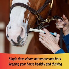 NEW 1/20 Pack In Box Paste Horse Dewormer Apple Flavor wormer EXP 01/2028