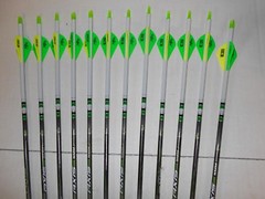 Easton Axis 340 5mm Hunting Carbon Arrows! Crested/Dipped Bohning Blazer Vanes