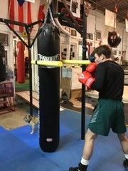 MMA, Boxing Heavy Punching Bag Bully Arm Attachment