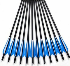 20 in Crossbow Bolts Carbon Crossbow Arrows +/OR 100 Grain Hunting Broadheads