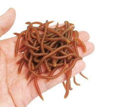 1.6in/3.3in Fishing Soft Lure Trout Worm 3.3inch, Brown (50pcs/Pack)