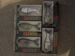 Bucca Brand 6&Prime; Trick Shad 1.6 oz Slow Sinking Hook Size #2