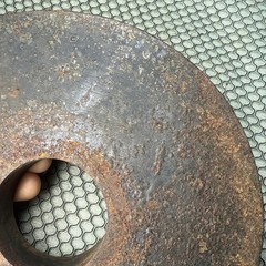 Weider International Single 2.5 kg 5.5 lb Olympic plate Weight change kilo Vtg