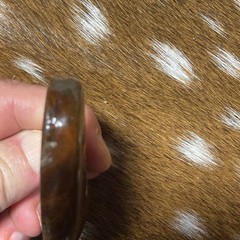 Unknown Pistol Grip Plastic? Bakelite? Right Side Grip No Screw