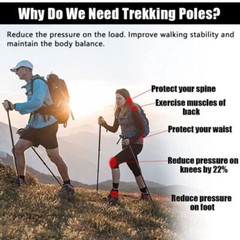 1 Pair of Trekking Poles Walking Hiking Sticks Anti-shock Adjustable Alpenstock