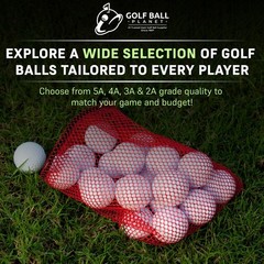 Titleist Pro V1X 2019/2020 Yellow AAAA Near Mint 50 Used Golf Balls 4A