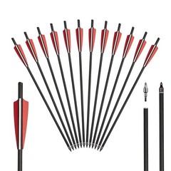 12X Crossbow Bolts 20Inch Carbon Arrows Led Lighted Nocks Crossbow Hunting Shoot