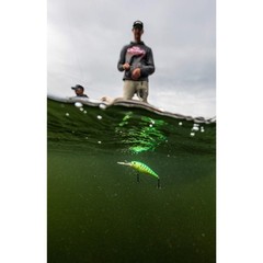 Berkley Flicker Shad 1 1 2In 1 8Oz Freshwater Crankbait Slick Firetiger Lure