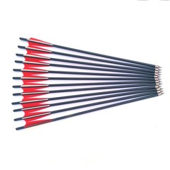 12X Crossbow Bolts 20Inch Carbon Arrows Led Lighted Nocks Crossbow Hunting Shoot