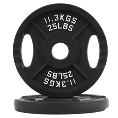 Weight Plates Cast Iron Olympic Barbell Weights 25, 35, 45, 85, 245 lbs