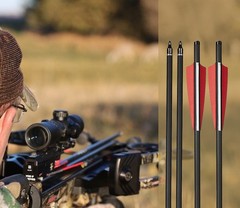 12X Crossbow Bolts 20Inch Carbon Arrows Led Lighted Nocks Crossbow Hunting Shoot