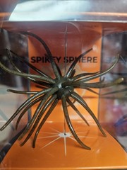 Spikey Sphere Coike Urchin Creature Bait Lure 19mm – Green Pumpkin