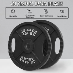 Weight Plates Cast Iron Olympic Barbell Weights 25, 35, 45, 85, 245 lbs