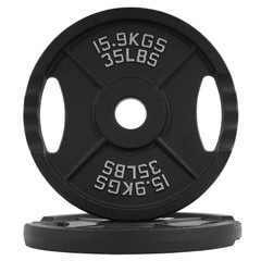 Weight Plates Cast Iron Olympic Barbell Weights 25, 35, 45, 85, 245 lbs