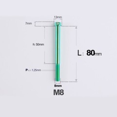 Titanium Screw, Torx Head Screw M8x10 – 120mm Green/Purple/Candy for Motorcycle