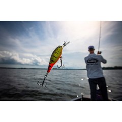 Berkley Flicker Shad 1 1 2In 1 8Oz Freshwater Crankbait Slick Firetiger Lure
