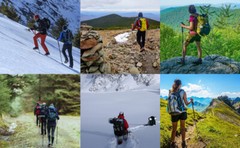 2x Trekking Poles Walking Hiking Sticks Adjustable Anti-shock Alpenstock