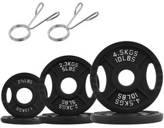 Weight Plates Cast Iron Olympic Barbell Weights 25, 35, 45, 85, 245 lbs