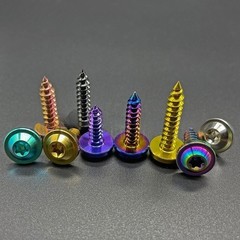 Titanium Bolt M4 M5 M6x15/17/20/25mm Torx Head Self-Tapping Screw Ti Fastener