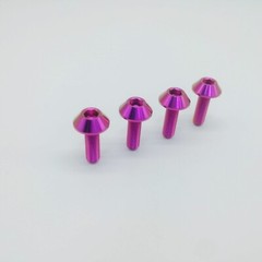 M6X12 M6X15 M6X20 M6X25 Titanium Bike Motorcycle Allen Button Head Bolt Ti Screw