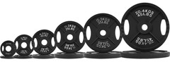 Weight Plates Cast Iron Olympic Barbell Weights 25, 35, 45, 85, 245 lbs