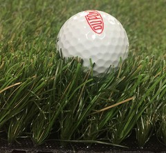 3 Ft x 5 Ft Golf Chipping Driving Commercial Fairway Practice Mat 5mm Foam Pad